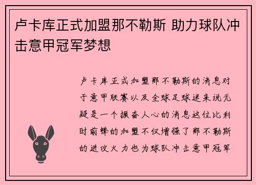 卢卡库正式加盟那不勒斯 助力球队冲击意甲冠军梦想 卢卡库正式加盟那不勒斯 助力球队冲击意甲冠军梦想